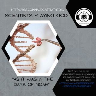 The Days of Noah - The Dig Bible Podcast