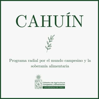 Cahuín
