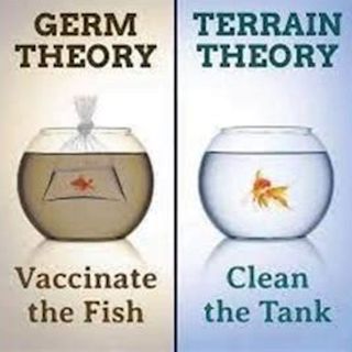 Germ Theory vs the Terrain Theory: Which one has more truth behind it?