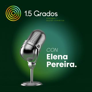 Ep3. El reto de la consistencia de los flujos financieros