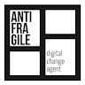 Antifragile