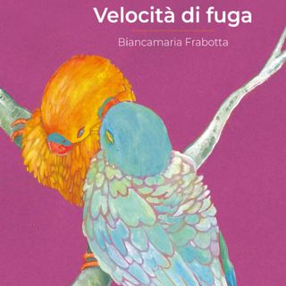 Valentina Ferri "Velocità di fuga" Biancamaria Frabotta