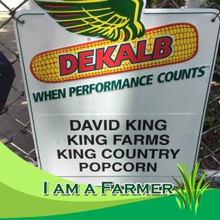 David King