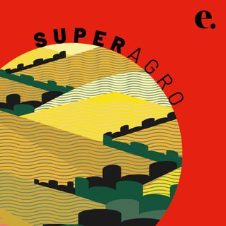 Exportações em pauta | SUPERAGRO #008