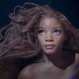 Little Mermaid 2023-05-25