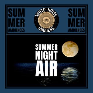 Summer Night Air | Relaxing Summer Breeze Ambience | Relaxation | Meditation | Deep Sleep