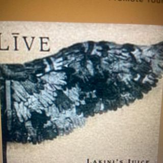 25- Live “Lakini’s Juice