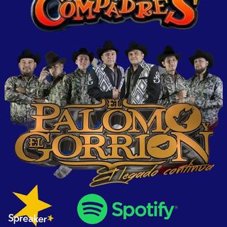 Los Compadres Y El Palomo Y El Gorrión