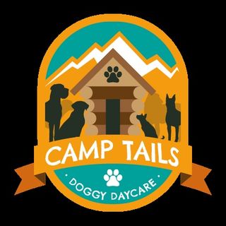 Camp Tails Doggy Daycare