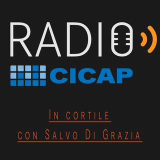 In cortile con Salvo Di Grazia
