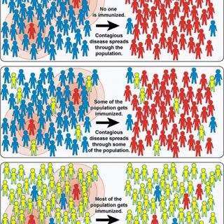 Corona:herd immunity