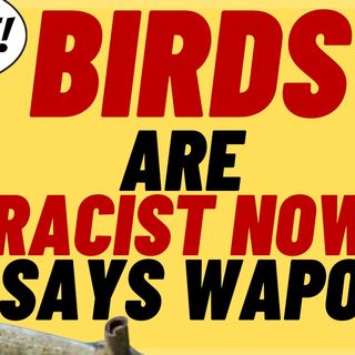 BIRDS ARE RACIST Now, According To The Washington Post