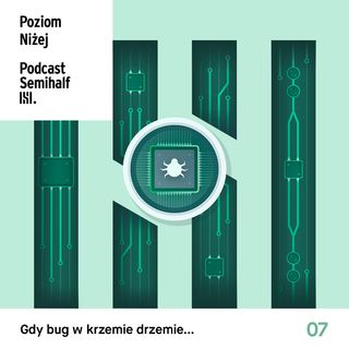 #007 - Gdy bug w krzemie drzemie...