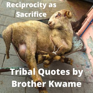 Tribal Quotes 17: Reciprocity as Sacrifice