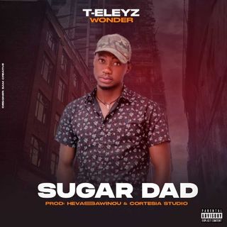 DOWNLOAD MP3: T-Eleyz Wonder - Sugar Dad