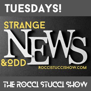 Weird and Odd News - Tuesday 4/25 - The Rocci Stucci Show