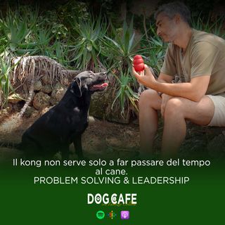 103 - Il kong non serve solo a far passare il tempo al cane. Problem solving e leadership.