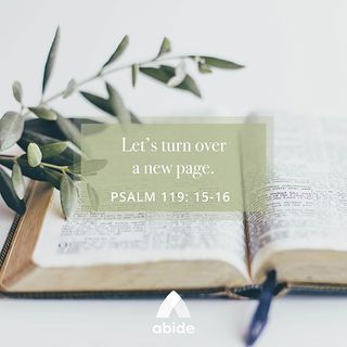 A New Beginning with the Bible