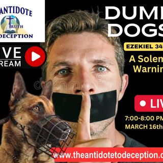 THE ANTIDOTE TO DECEPTION: DUMB DOGS PART 2 || 3-16-23
