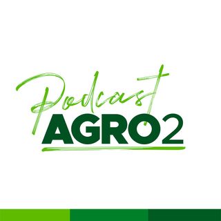 Portal Agro 2