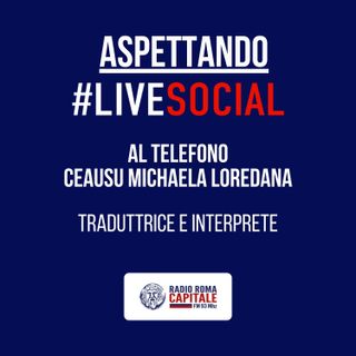 CEAUSU MICHAELA LOREDANA - TRADUTTRICE E INTERPRETE
