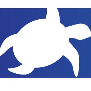 Turtle Canyon Media