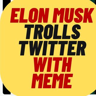 ELON MUSK Trolls Twitter With Meme In Response To Lawsuit
