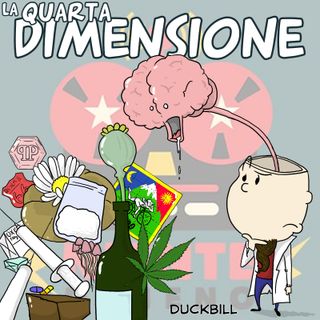 4. La quarta dimensione