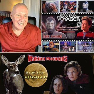 Star Trek - Voyager Episodes - 'Waking Dreams' and 'The Thaw' - Seeing I'm the Dreamer of the Dream with David Hoffmeister