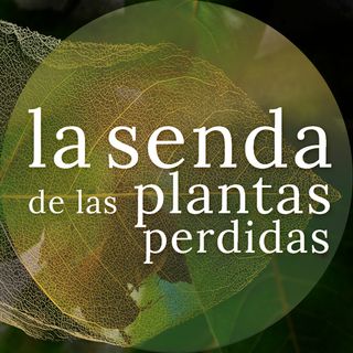 El árbol de buen color y mala sombra: Juglans spp.