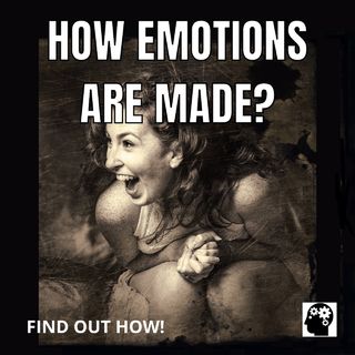 How Emotions Work?