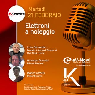 Elettroni a noleggio