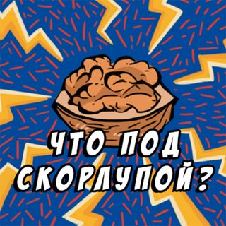 Шизофрения и биполярное расстройство: при чем тут мозг?