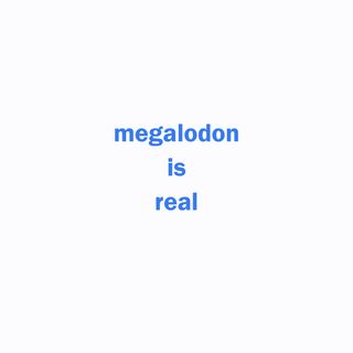 Megalodon Is Real