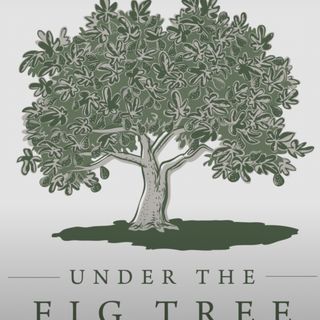 Under the Fig Tree - #4 w/Ben Haupt