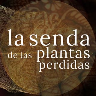 La planta que borda caricias en cobre: Lawsonia inermis