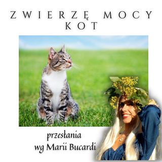 Zwierzę Mocy - Kot - pewność siebie, niezależność, magia, misteria, powołanie -  Maria Bucardi