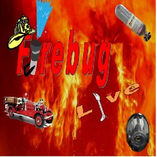 Firebug Live