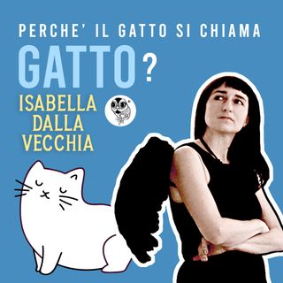 Perché il gatto si chiama gatto?