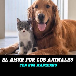 El amor por los animales - Con Eva Manzorro
