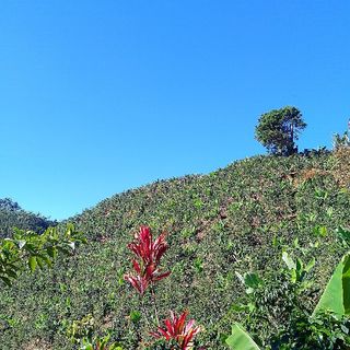 unción de fe