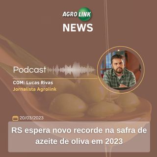 Após dois anos de alta, PIB do agronegócio fecha 2022 em queda