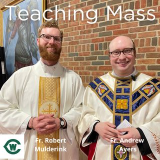 Father Robert Mulderink - Teaching Mass
