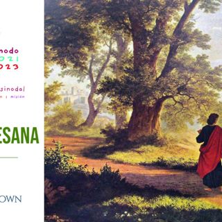 Episodio especial Sinodo Fase Diocesana