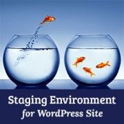Why You Should Use WordPress Staging