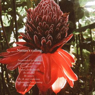 Épisode 44  | La nature est tienne, fais-en ton sanctuaire
