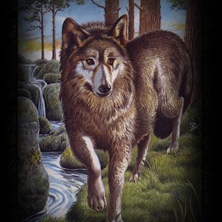 The Weekly Inspiration - The Wolf (Faol)