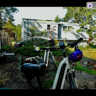 Ride to the pig farm