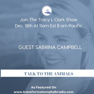 The Tracy L Clark Show: Live Your Extraordinary Life Radio: ARE YOUR READY TO TALK TO YOUR ANIMALS