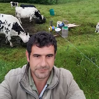 Fabio Enseña: el campesino youtuber que entre leche y cuajada se viralizó en redes